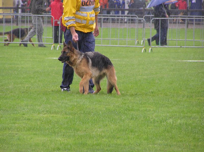 15-9-08 060.jpg